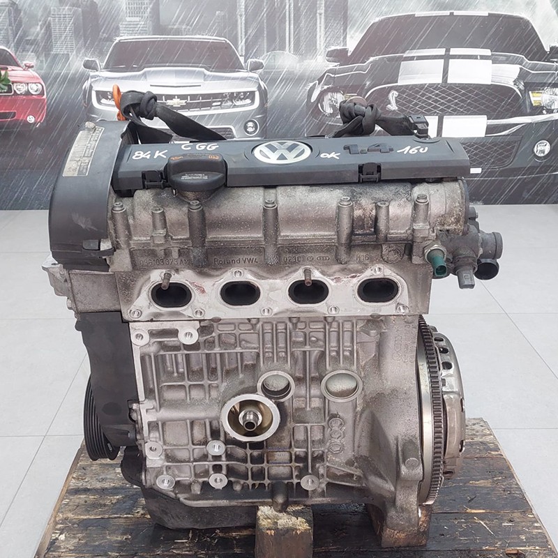 Motore Seat Ibiza, Volkswagen Polo, 1.4 benzina 16v, codice motore cgg